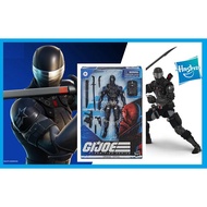 G.I.Joe Snake Eyes Storm Shadow Arctic Hasbro Classified Series