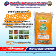 ปุ๋ยเกล็ด ปุ๋ยออคิเดนซ์ สูตร 20-20-20 เขียว 8-24-24 ส้ม 16-7-32 ชมพู 25-7-15 ถุงแดง สูตรบำรุงต้นทั่ว