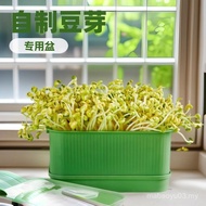 [Ship in 24h] Household Bean Sprout Germination Handy Tool No Water Change Bean Sprout Seedling Tray