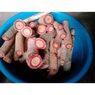 Red Alingatong Miracle Roots 1/2 kilo