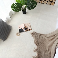 HDS Living Room Premium Quality Plain Cotton Carpet π 200x300 / 100x160 / 160x230cm Soft Comfy Anti-