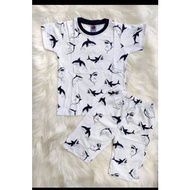 Play Set 6 years and below