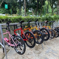 FRAME MINIVELO + FORK - Goes Store87