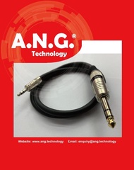 ANG 6.35mm TRS Male to 3.5mm TRS Male Stereo Cable