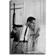 ZLLLII Malcolm X .by Any Means Necessary Canvas Art Poster and Wall Art Picture Print Modern Family 