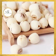 Lotus Seed Lotus Seed Lotus Seed Lotus Seed 100G