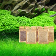 Easy Growing Aquarium Water Plant Carpet Decoration Fish Tank Grass Moss Lawn Live Plant 6 Styles