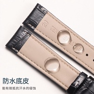 Watch strap replacement Seiko watch strap No. 5 genuine leather water ghost canned abalone cocktail original original butterfly buckle watch chain