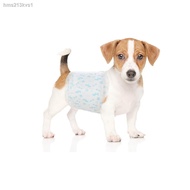 COD❀✈﹍ↂ❒Dono Dog Diaper Female or Male Wraps - Mini, XXS, XS Xsmall, Small, Medium, Large, XL, XXL