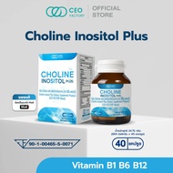 Choline Inositol Plus (CEO Factory Brand) Choline Bitartrate, Inositol, Vitamin B1, Vitamin B12, Vit