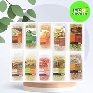 LOHAS & Matahari -  Organic Ramen 300gm - 320gm