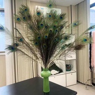 Natural Peacock Feather Ornaments Dust Duster Decoration Material Accessories Clothing Accessories E
