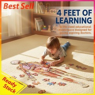 Kids Human Body Puzzle Intelligence Development 100 Pieces Learning Body Parts