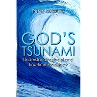[BnB] USED God's Tsunami: Understanding Israel and End-time Prophecy by Peter Tsukahira (Used: Very 