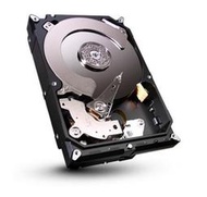 <SUNLINK>HGST 2TB 3.5吋SATAIII 企業級硬碟(原Hitachi硬碟 )