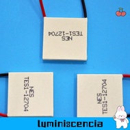 LUMINISCENCIA Semiconductor Cooling Sheet, 30x30mm 40x40mm Refrigeration Plate,  15x30mm TES1-07102 