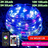2m/5m/10m/20meters 200Leds 5V USB WS2812 LED String APP Remote Led Fairy Lights Dreamcolor RGBIC Add