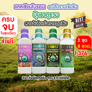 Cabmax แคลเซียมโบรอน + Vamax ธาตุอาหารรวม + Zenmax อะมิโนรวม + Bionax สารจับใบ (C2+V2+Z2+B2)