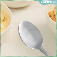 [lzdhuiz3] Stainless Spoon Gift, Cooking Utensil Engraved Ice Cream Spoon Serving Spoon for Camping Trip Picnic,