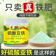 Gardenia Iron Fertilizer for Plants, Acidic Sulfate Solution, Yellow Osmanthus & Tea Flower, VPFV