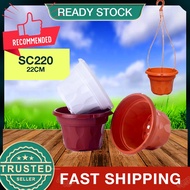 [22cm with Hanger] Cotta Flower Pot SC-220 Pot Table Pot Pasu Cotta