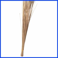 ✅ ▐ ∡ Buri Bukod Walis  tingting other known for walis buli price per piece 45 inch