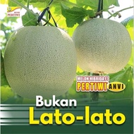 Benih Bibit Melon Pertiwi Anvi (',')