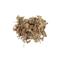 7A Chilean Sphagnum Moss, Terrarium, Paludarium, Vivarium, Garden, Substrate