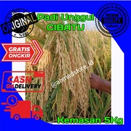 Benih padi Cibatu 06 kemasan 5kg