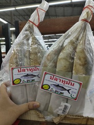 ปลาทูมัน แพ็คละ2-3ตัว อร่อย สด สะอาด สูตรไม่เค็มมาก 500ก. ส่งฟรี ปลาแห้ง อาหารทะเลแห้ง ปลาทูหอม ปลาทูมัน ปลาทูอ่าวไทย ปลาทูเค็ม ปลาทูน้ำ
