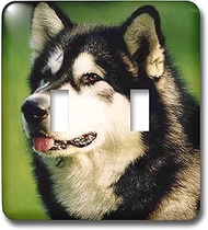 3dRose lsp_722_2 Alaska Malamute Dog Double Toggle Switch