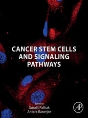 Cancer Stem Cells and Signaling Pathways Surajit Pathak, PhD