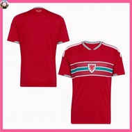 2025-26 Wales Home Fan Football Jersey AAA+