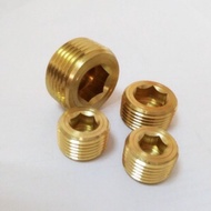 Brass Worm Plug Scoop Screw