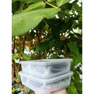 Dodol durian tokwan kami