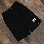 日本預訂 the north face logo 工裝短褲