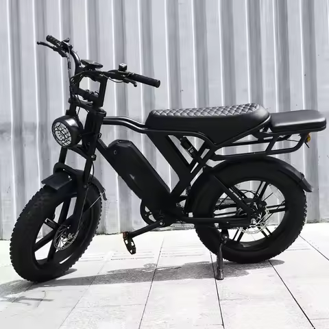 20 inch electric bicycle 48V 15Ah steel frame Fatbike 250W 750w 1500W lithium battery LCD rear wheel