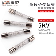 Microwave Oven High Voltage Fuse Tube Glass Fuse 0.75A/0.8A Engineering Use FNS5