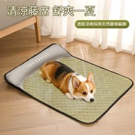 A18-(XS)寵物冰涼墊 50x40cm 降溫墊/貓狗涼蓆/夏日降溫墊/冰墊/涼墊/狗墊/貓墊/貓窩/寵物降溫墊/適用於狗狗小貓/可水洗降溫墊/寵物睡墊/毯子適用於寵物床/狗窩/沙發/地板/汽車座椅
