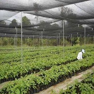 JARING PARANET 50% ( 1 ROLL ) PANJANG 100 METER TERBARU
