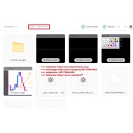 Ariff T - SNR Course (Total size: 2.63 GB Contains: 1 folder 12 files)