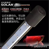 Neo Led aquarium light，Blue Arowana Fish Special Light