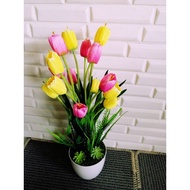 pokok hiasan dalam rumah✫【Ready Stock】 ✫hiasan rumah✫ Bunga Tulip