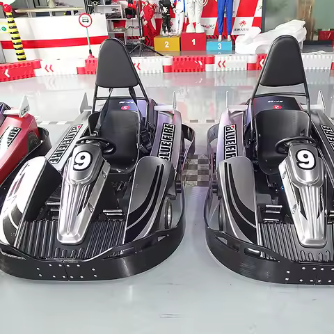 4000w Great Power Go Kart with a Speed of 60km/h Remote Control Coin Operated Electric Go Kart Whole