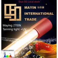 Mayin authorized SG seller-Local Stock Mayin T5 2700k Tanning light +UV 3ft 4ft 5ft For Red Gold Arowana Submersible
