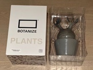 MEDICOM TOY × BOTANIZE VCD Pachypodium Gracilius Var. MONOTONE