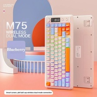 FREE WOLF M75 82-Key Compact Wireless Gaming Keyboard - Dual Mode (Bluetooth/2.4G) RGB Backlit OLED 