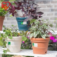 Alice IRIS Resin Embossed Indoor Round Flowerpot Balcony Garden Monthly Succulent Potted Plant Plant