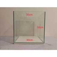 Channa maru yellow sentarum aquarium glass tank channa fish tank aquarium fish cube Aquarium Cube Aquascape tank channa