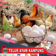 TELUR AYAM KAMPUNG SEGAR